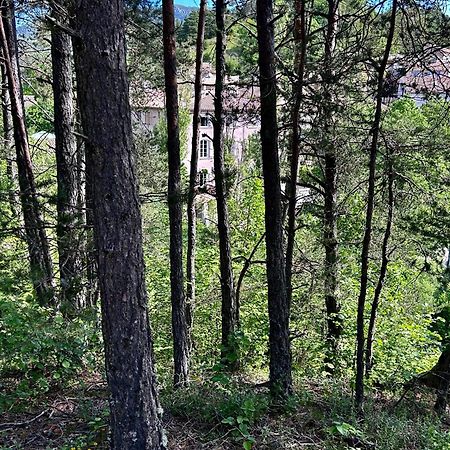 Auberge Du Bourguet Brenon Екстер'єр фото